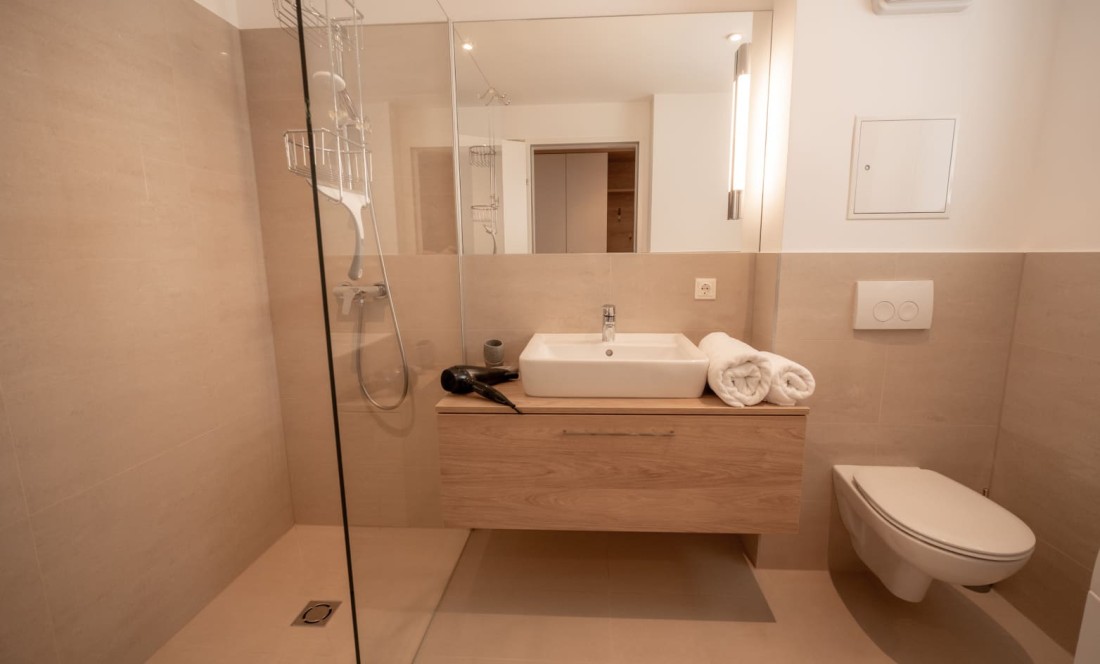 Modernes Badezimmer mit Dusche im Apartment im Waldviertel